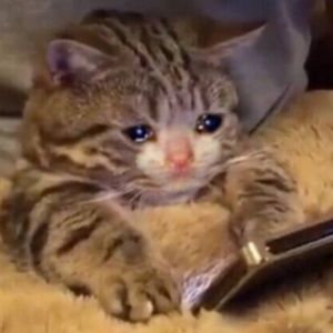 Meet your Posher, Marco